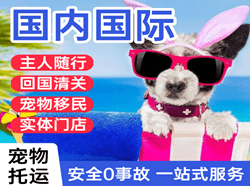 长治航空邮寄国际宠物托运 【国